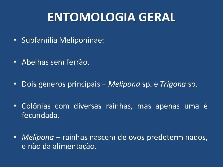 ENTOMOLOGIA GERAL • Subfamilia Meliponinae: • Abelhas sem ferrão. • Dois gêneros principais – ENTOMOLOGIA GERAL • Subfamilia Meliponinae: • Abelhas sem ferrão. • Dois gêneros principais –