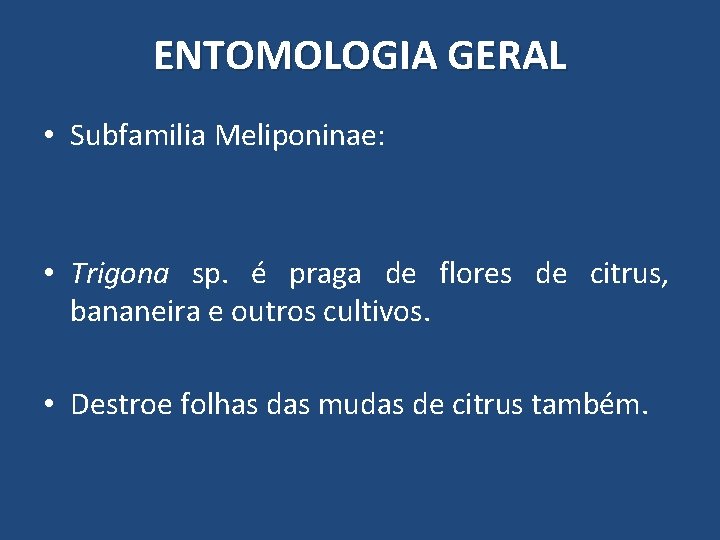 ENTOMOLOGIA GERAL • Subfamilia Meliponinae: • Trigona sp. é praga de flores de citrus, ENTOMOLOGIA GERAL • Subfamilia Meliponinae: • Trigona sp. é praga de flores de citrus,