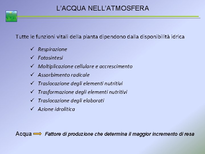 L’ACQUA NELL’ATMOSFERA Tutte le funzioni vitali della pianta dipendono dalla disponibilità idrica ü ü