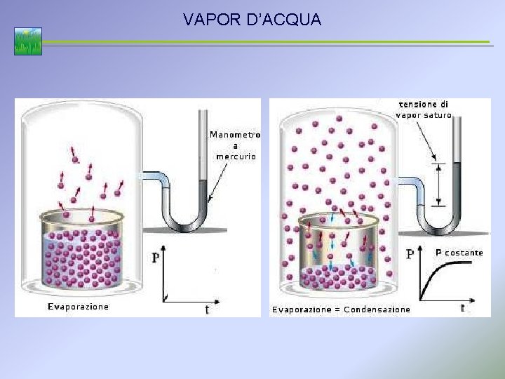 VAPOR D’ACQUA 