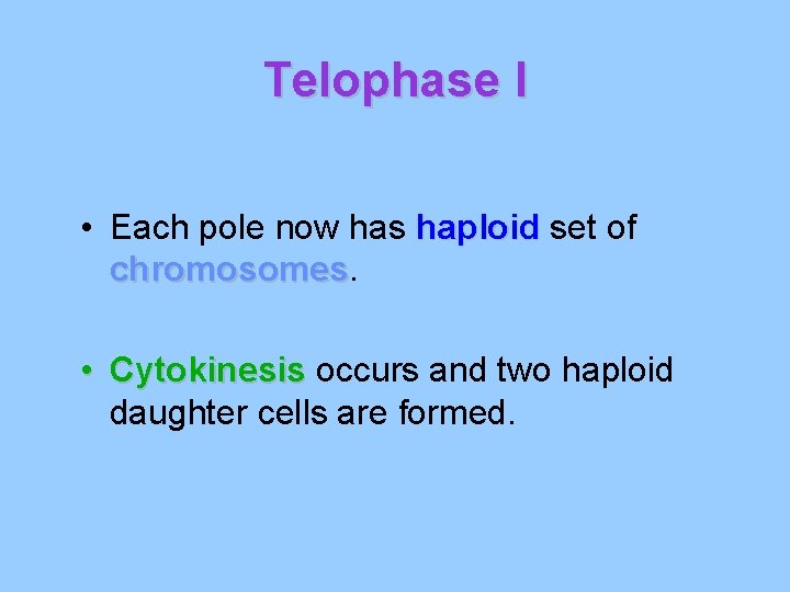Telophase I • Each pole now has haploid set of chromosomes • Cytokinesis occurs
