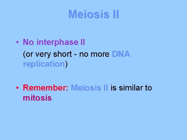 Meiosis II • No interphase II (or very short - no more DNA replication)