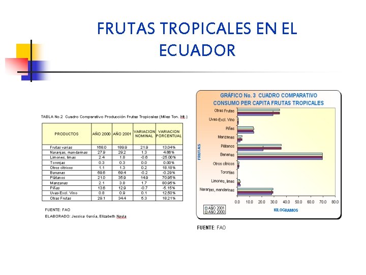 FRUTAS TROPICALES EN EL ECUADOR 