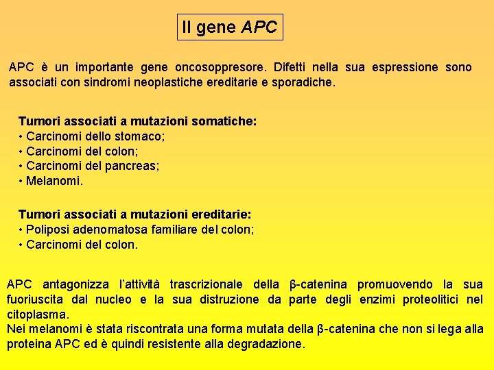 Il gene APC è un importante gene oncosoppresore. Difetti nella sua espressione sono associati