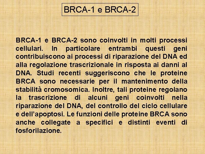 BRCA-1 e BRCA-2 sono coinvolti in molti processi cellulari. In particolare entrambi questi geni