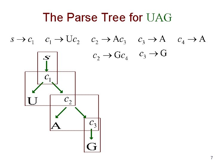 The Parse Tree for UAG 7 The Parse Tree for UAG 7