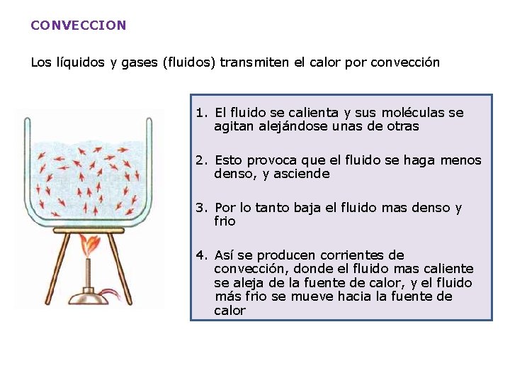 CONVECCION Los líquidos y gases (fluidos) transmiten el calor por convección 1. El fluido