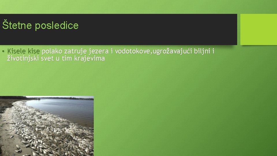 Štetne posledice • Kisele kise polako zatruje jezera i vodotokove, ugrožavajući biljni i životinjski