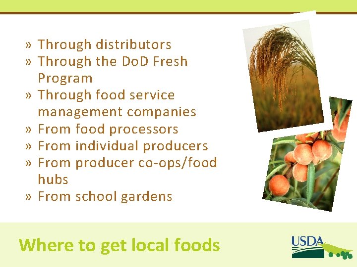 » Through distributors » Through the Do. D Fresh Program » Through food service » Through distributors » Through the Do. D Fresh Program » Through food service