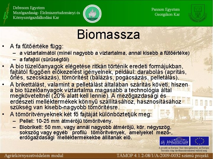 Biomassza • A fa fűtőértéke függ: – a víztartalmától (minél nagyobb a víztartalma, annál