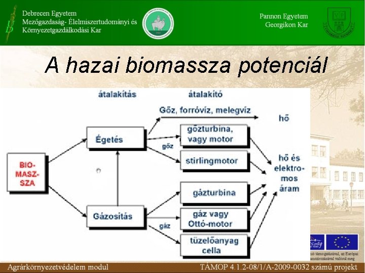 A hazai biomassza potenciál 