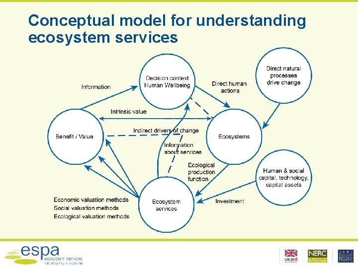 Conceptual model for understanding ecosystem services 