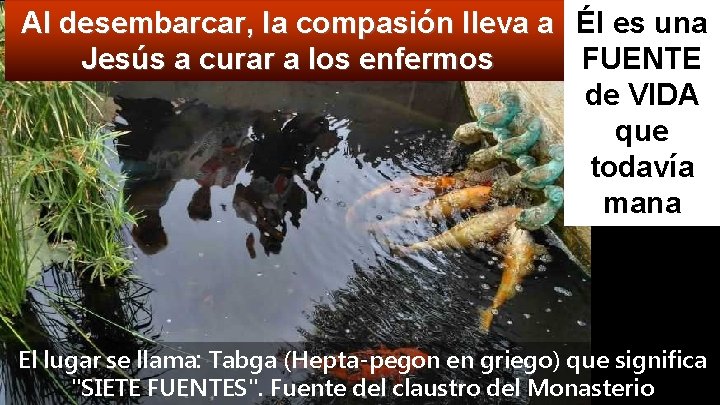 Al desembarcar, la compasión lleva a Él es una Jesús a curar a los Al desembarcar, la compasión lleva a Él es una Jesús a curar a los