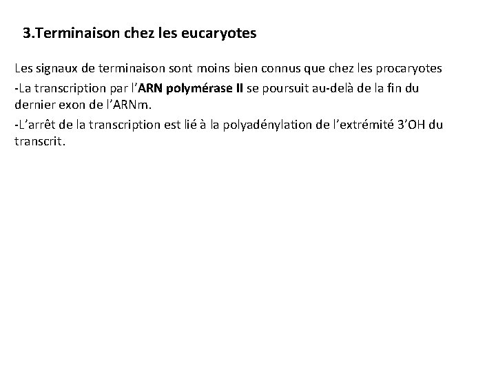 3. Terminaison chez les eucaryotes Les signaux de terminaison sont moins bien connus que