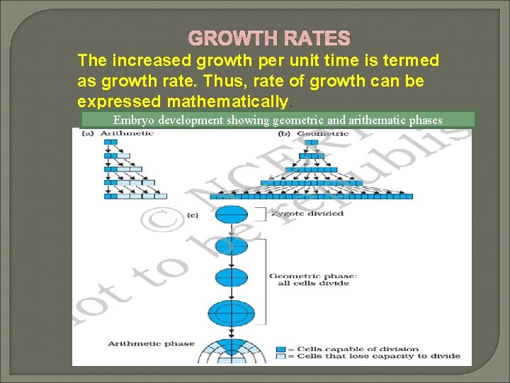 GROWTH RATES The increased growth per unit time is termed as growth rate. Thus,