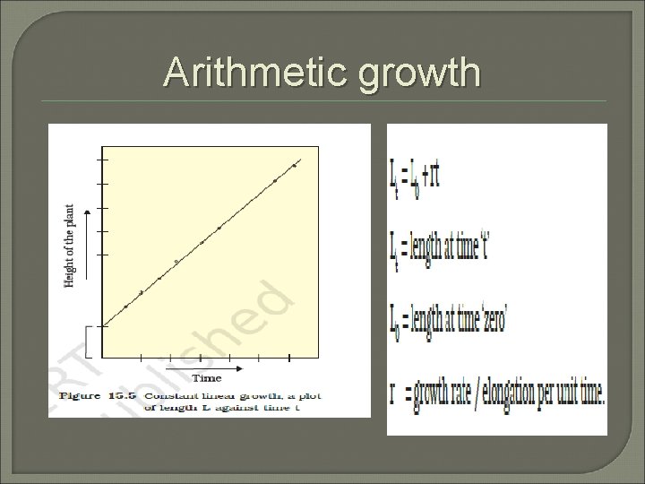 Arithmetic growth 