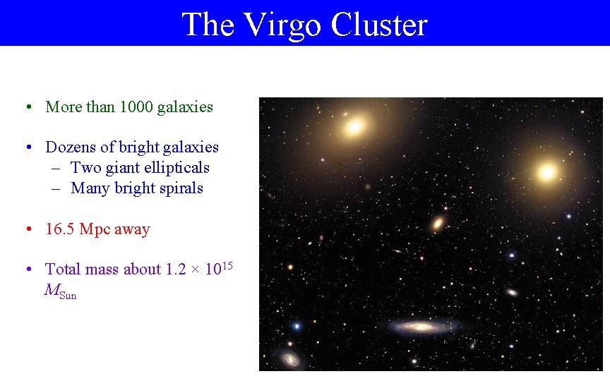The Virgo Cluster • More than 1000 galaxies • Dozens of bright galaxies –
