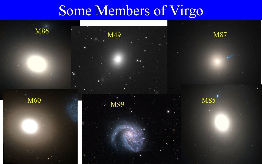 Some Members of Virgo M 86 M 60 M 49 M 99 M 87