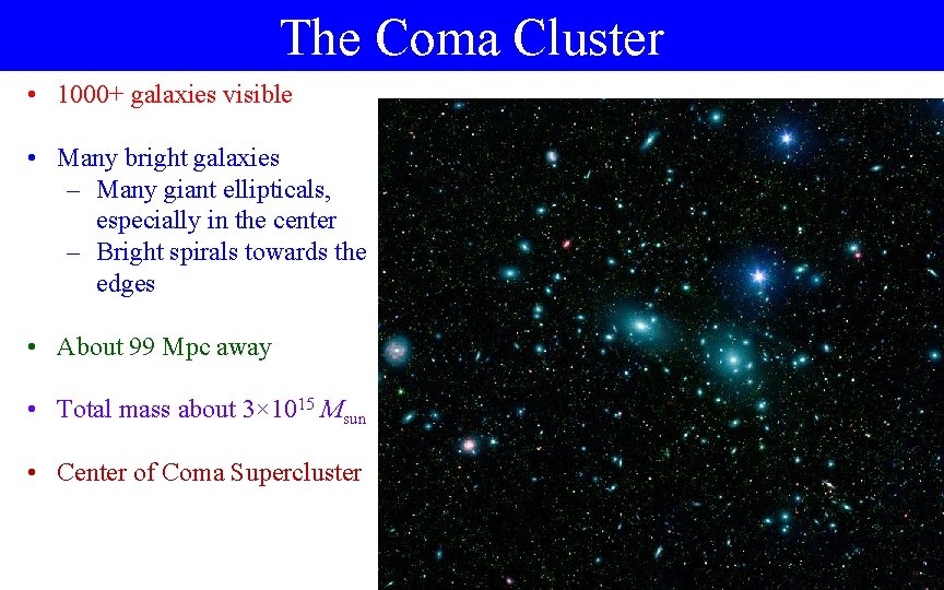 The Coma Cluster • 1000+ galaxies visible • Many bright galaxies – Many giant