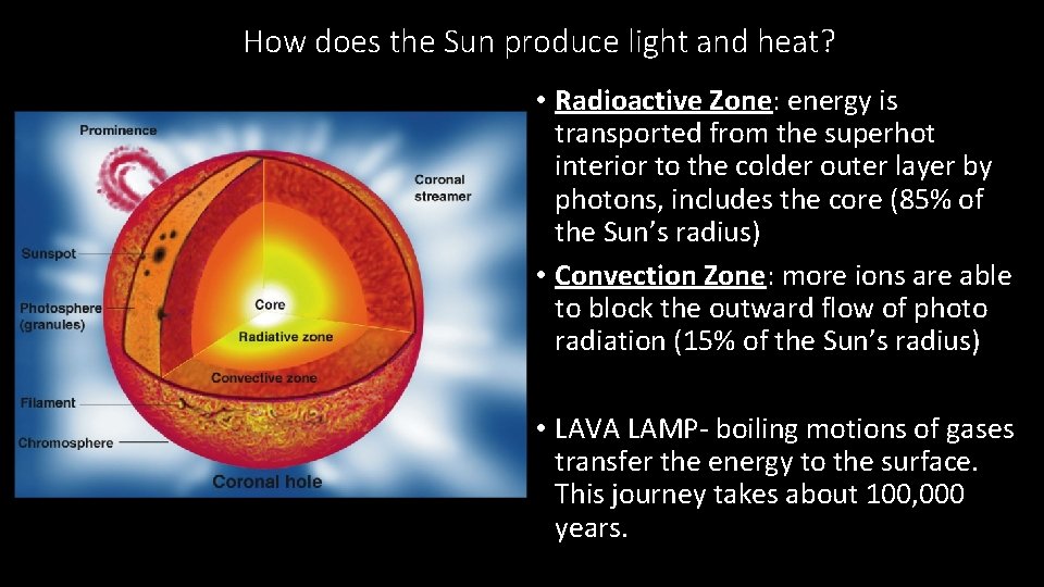 How does the Sun produce light and heat? • Radioactive Zone: energy is transported
