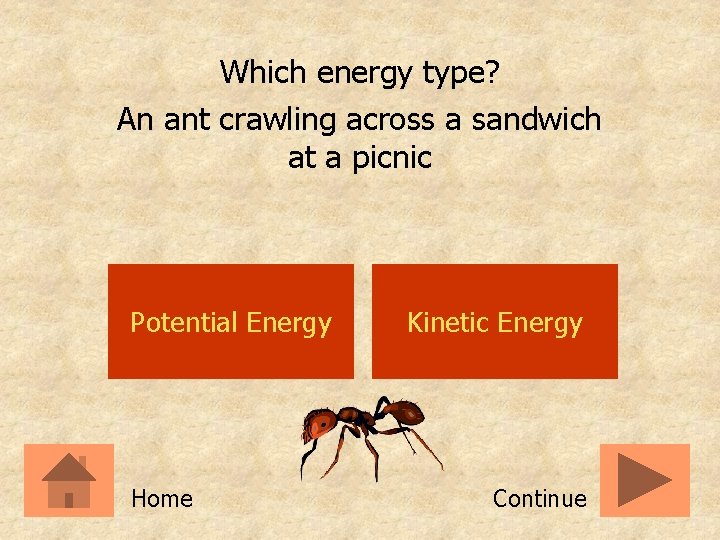 Which energy type? An ant crawling across a sandwich at a picnic Potential Energy