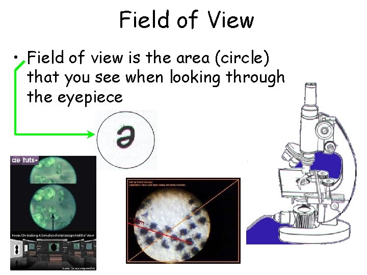 Field of View • Field of view is the area (circle) that you see