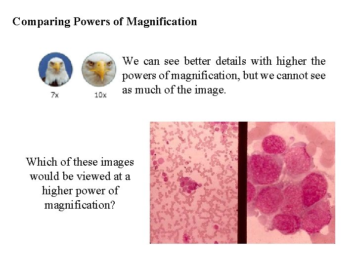 Comparing Powers of Magnification We can see better details with higher the powers of