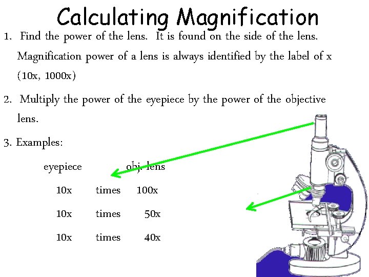 Calculating Magnification 1. Find the power of the lens. It is found on the