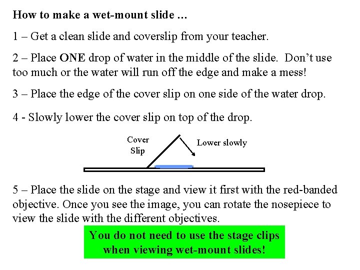 How to make a wet-mount slide … 1 – Get a clean slide and