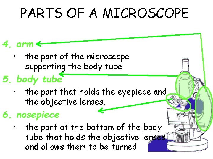 PARTS OF A MICROSCOPE 4. arm • the part of the microscope supporting the