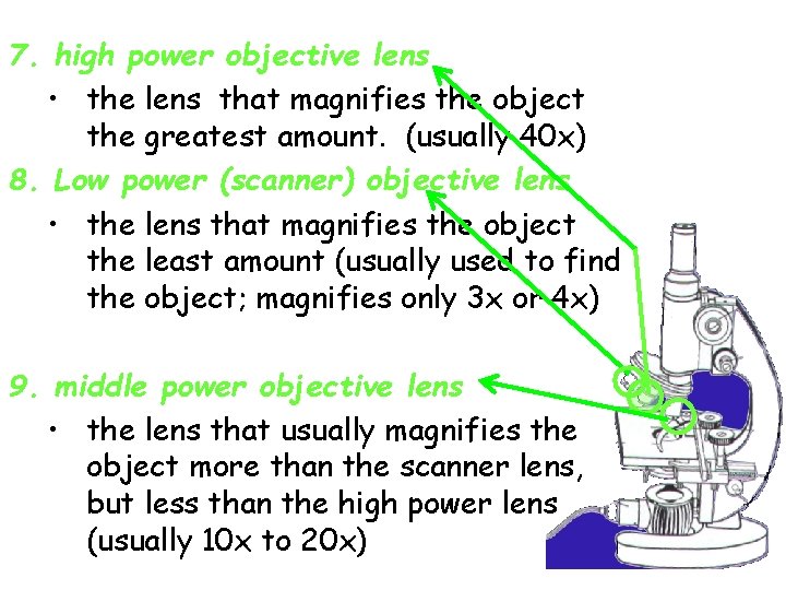 7. high power objective lens • the lens that magnifies the object the greatest