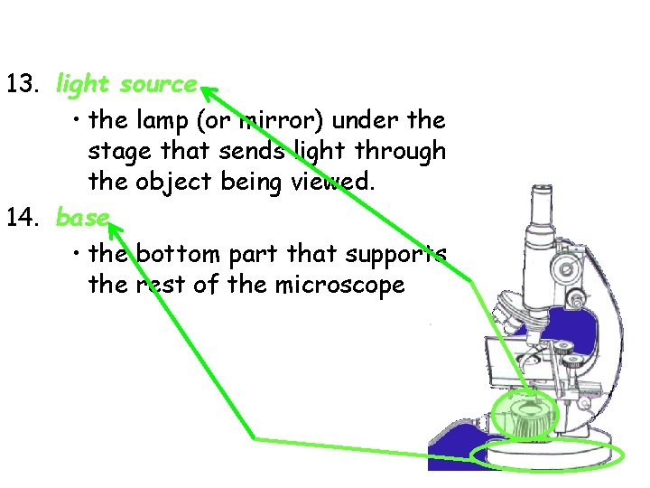 13. light source • the lamp (or mirror) under the stage that sends light