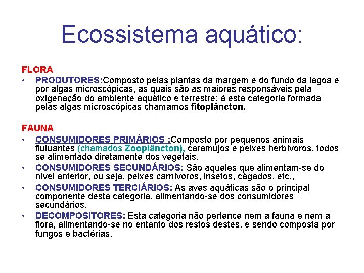 Ecossistema aquático: FLORA • PRODUTORES: Composto pelas plantas da margem e do fundo da