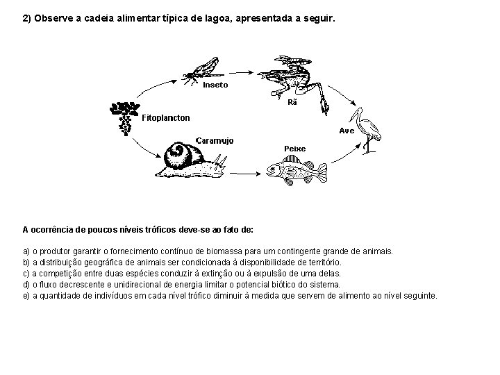 2) Observe a cadeia alimentar típica de lagoa, apresentada a seguir. A ocorrência de