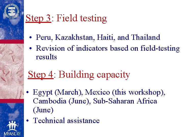 Step 3: Field testing • Peru, Kazakhstan, Haiti, and Thailand • Revision of indicators
