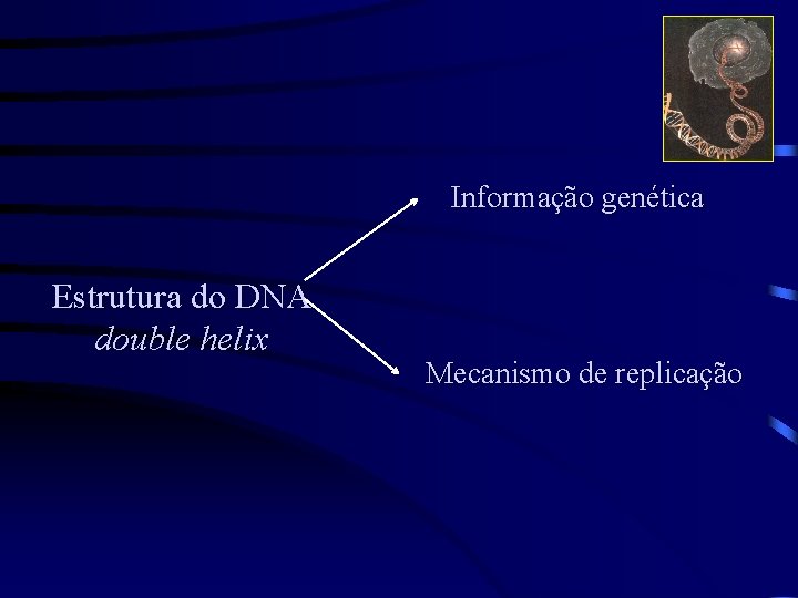 Informação genética Estrutura do DNA double helix Mecanismo de replicação 