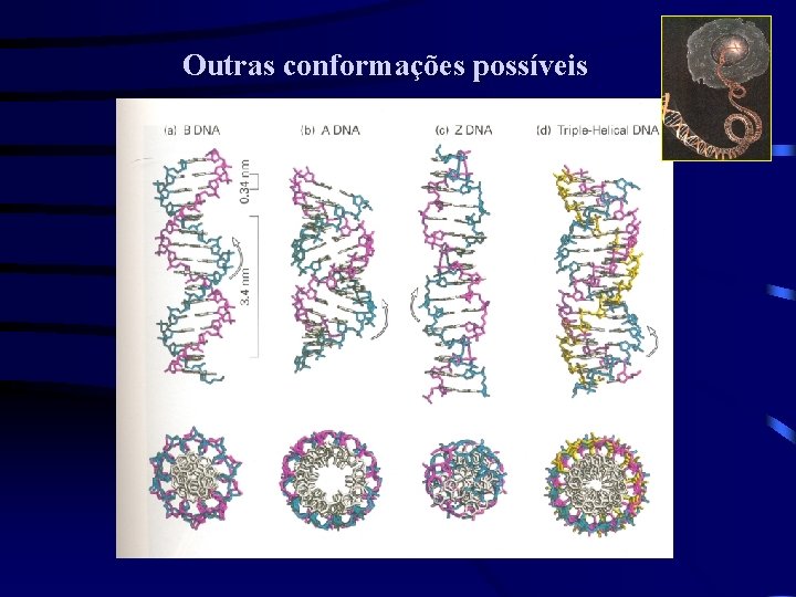 Outras conformações possíveis 
