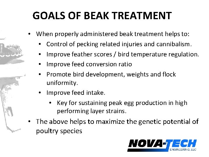 GOALS OF BEAK TREATMENT • When properly administered beak treatment helps to: • Control