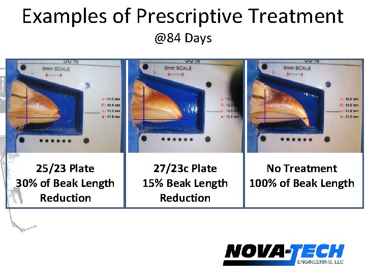 Examples of Prescriptive Treatment @84 Days 25/23 Plate 30% of Beak Length Reduction 27/23