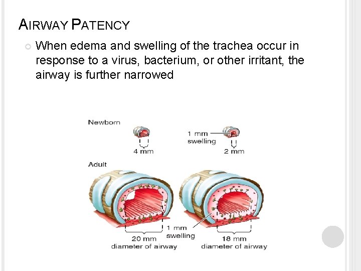 AIRWAY PATENCY When edema and swelling of the trachea occur in response to a