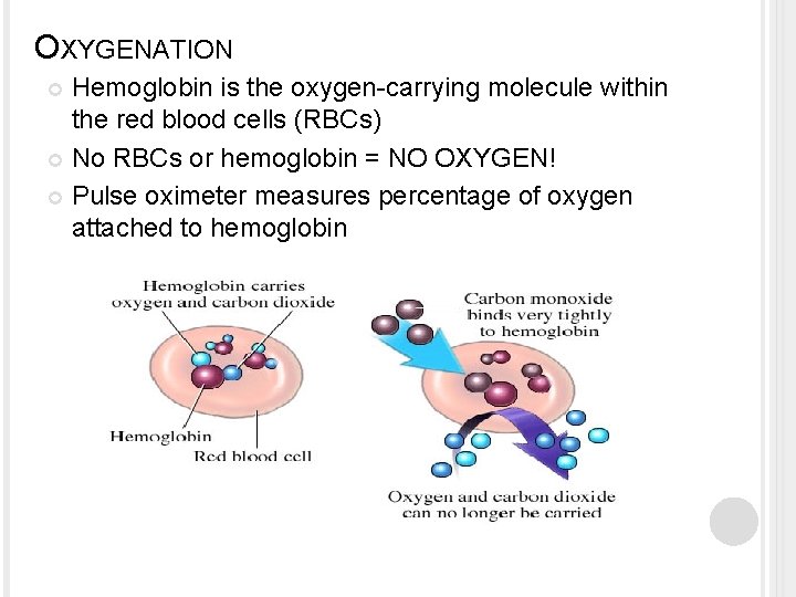 OXYGENATION Hemoglobin is the oxygen-carrying molecule within the red blood cells (RBCs) No RBCs