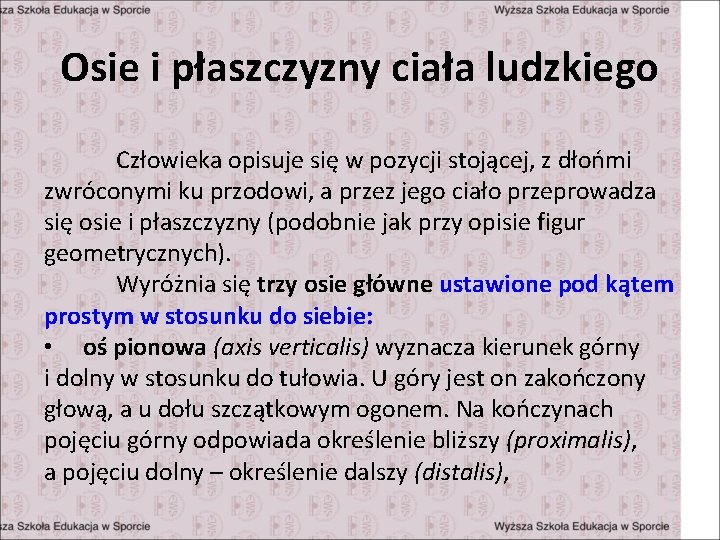 Osie i płaszczyzny ciała ludzkiego Człowieka opisuje się w pozycji stojącej, z dłońmi zwróconymi