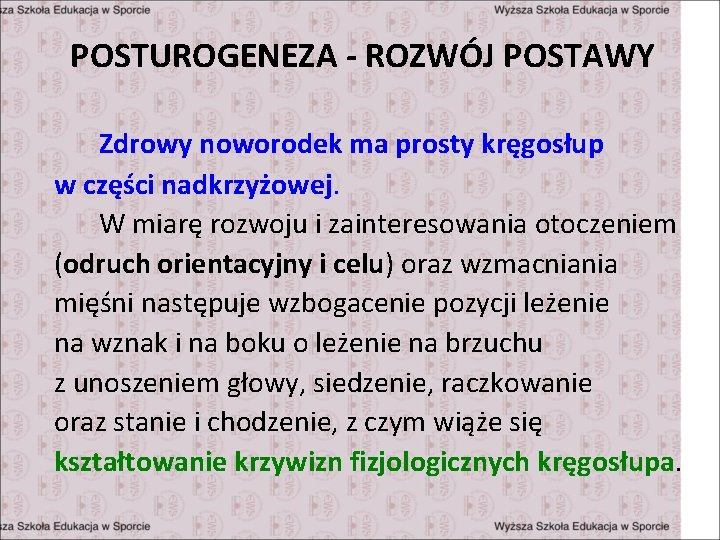 POSTUROGENEZA - ROZWÓJ POSTAWY Zdrowy noworodek ma prosty kręgosłup w części nadkrzyżowej. W miarę