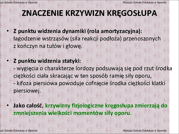 ZNACZENIE KRZYWIZN KRĘGOSŁUPA • Z punktu widzenia dynamiki (rola amortyzacyjna): łagodzenie wstrząsów (siła reakcji