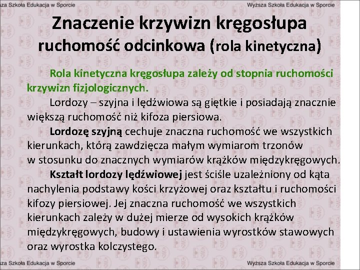 Znaczenie krzywizn kręgosłupa ruchomość odcinkowa (rola kinetyczna) Rola kinetyczna kręgosłupa zależy od stopnia ruchomości