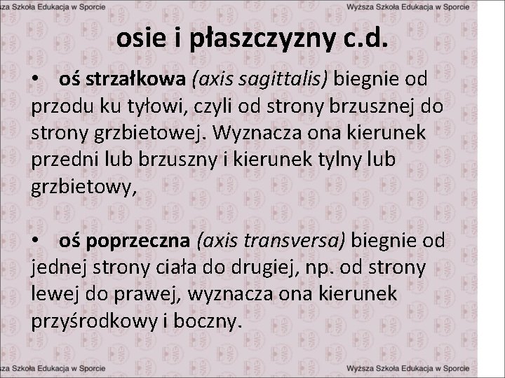 osie i płaszczyzny c. d. • oś strzałkowa (axis sagittalis) biegnie od przodu ku