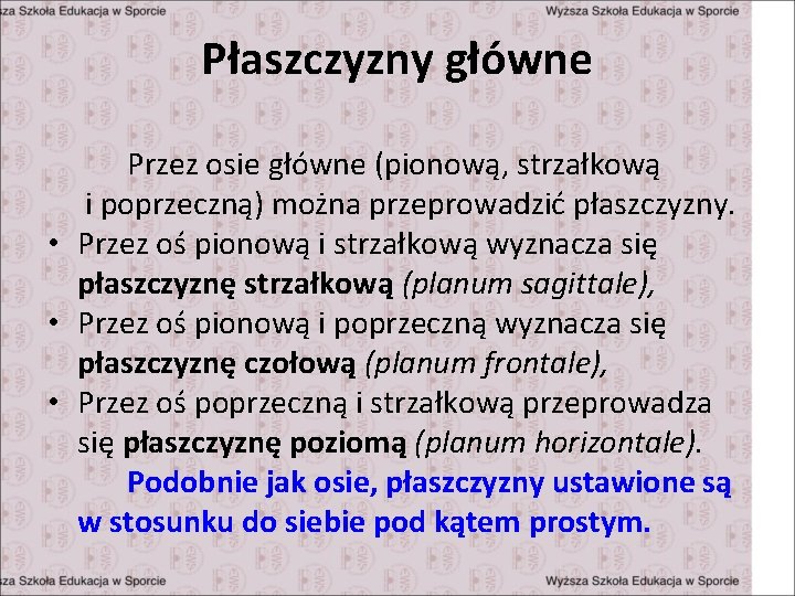 Płaszczyzny główne Przez osie główne (pionową, strzałkową i poprzeczną) można przeprowadzić płaszczyzny. • Przez