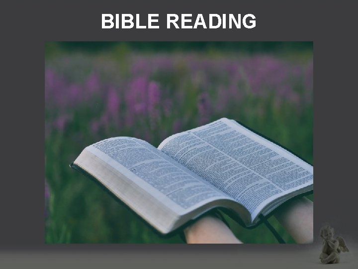 BIBLE READING 