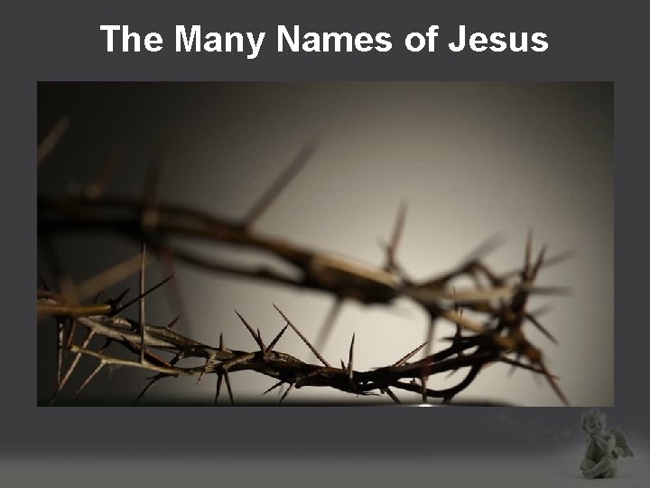 The Many Names of Jesus 
