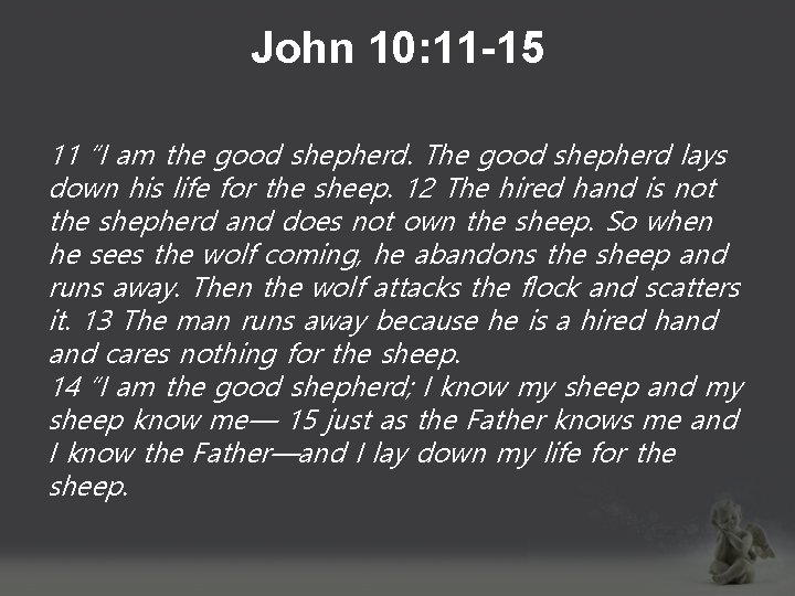 John 10: 11 -15 11 “I am the good shepherd. The good shepherd lays